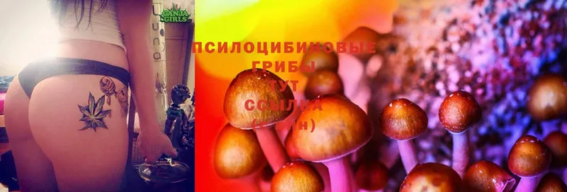 Псилоцибиновые грибы Magic Shrooms  ссылка на мегу как зайти  Злынка 